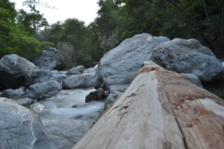 pfeiffer-state-beach