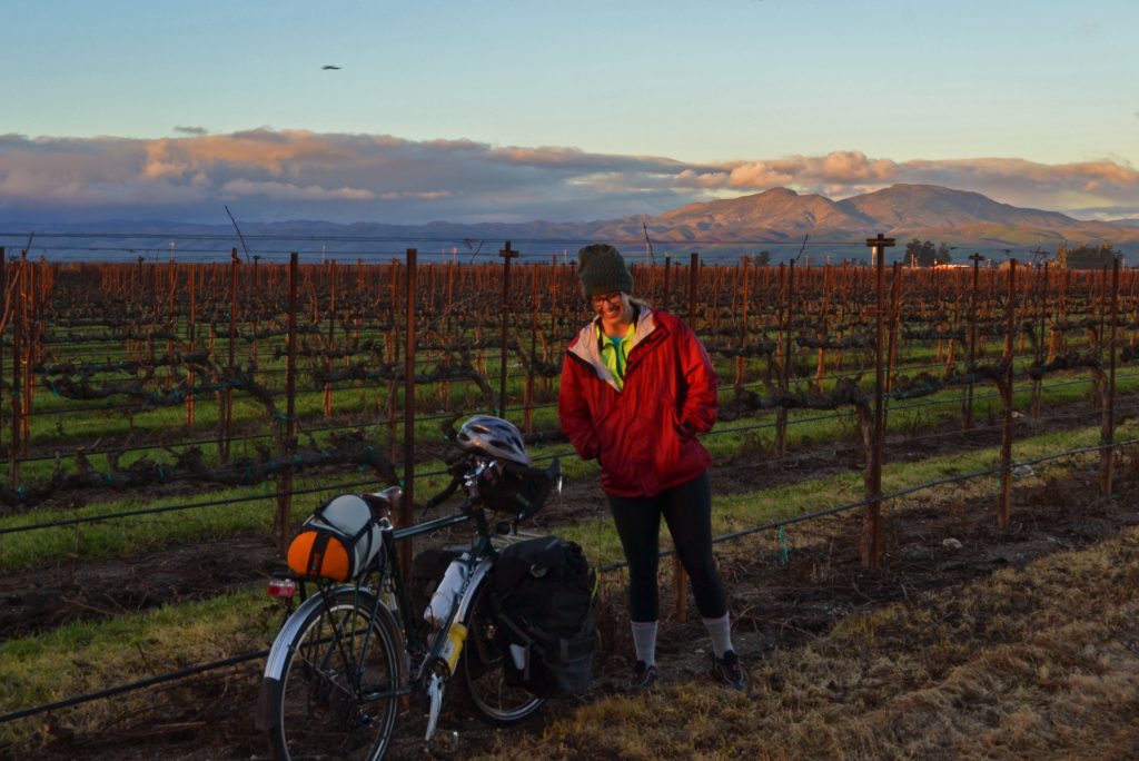 Girl, Meet Bike: Falling Headfirst into the Sport of Cycling
