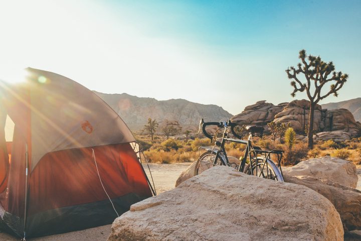 van preview - nomad life 