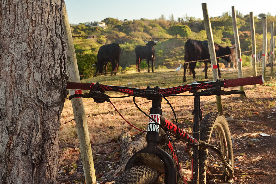 mountain-bike-Puerto-Rico-Cowboys-MTB