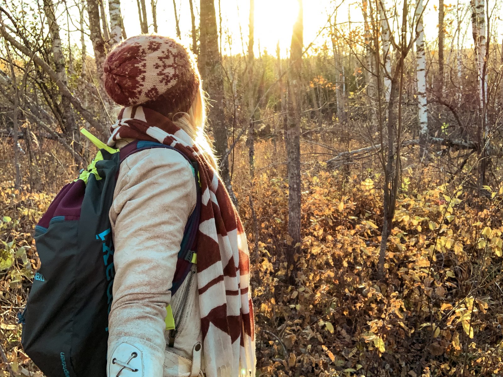 things-to-do-in-duluth-mn